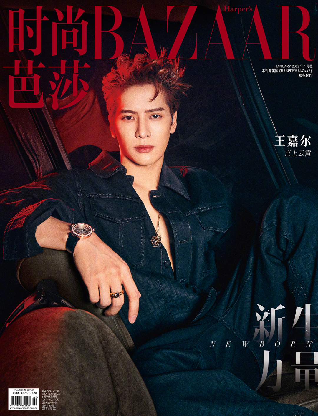 王嘉爾個人簡介（王嘉爾 直上雲霄）