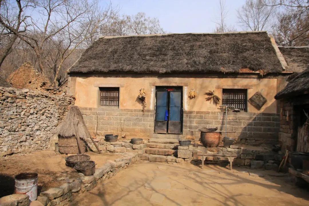 王傳福