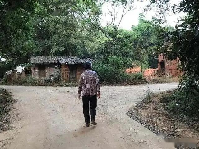 王傳福