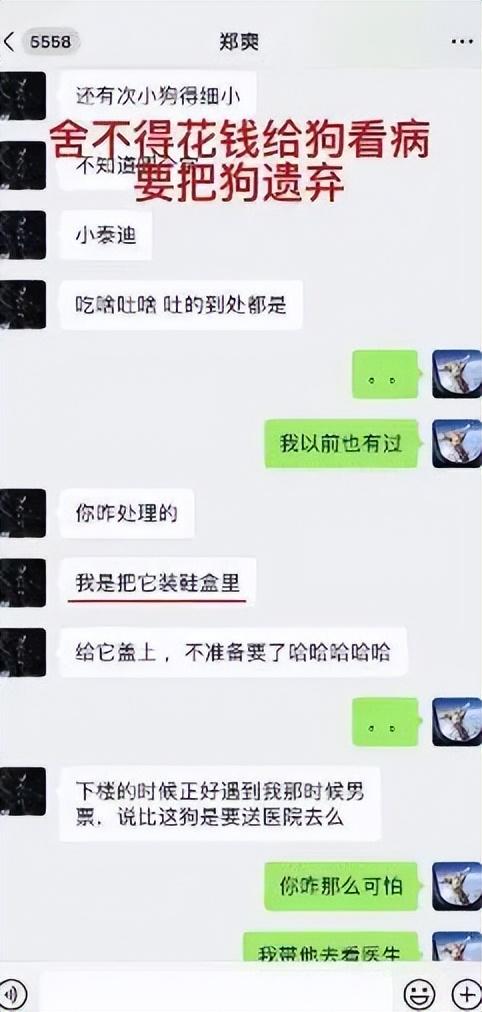 鄭爽