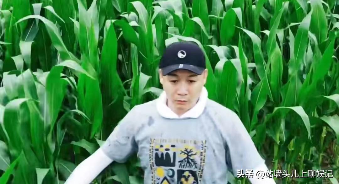 高虎