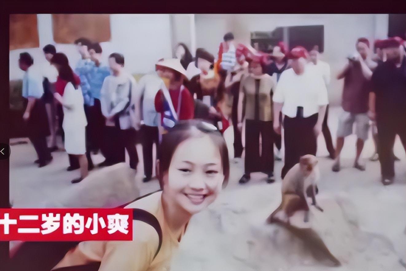 鄭爽
