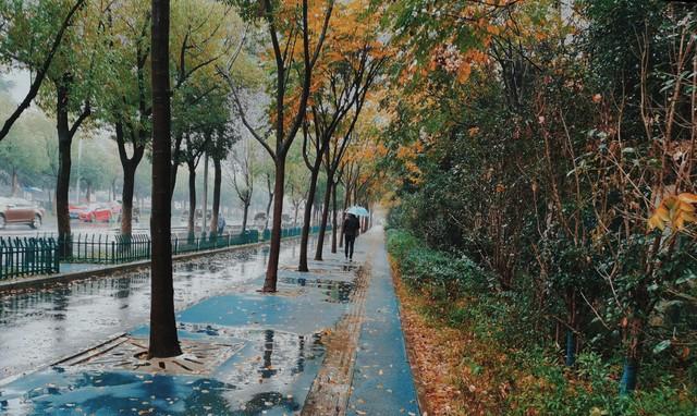 陳三廢
