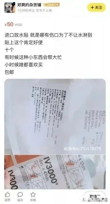 鄭爽