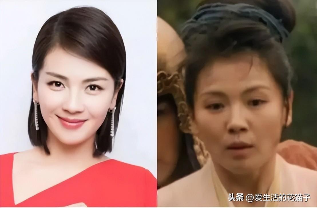 苑冉
