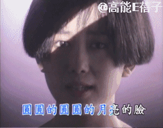 孟庭葦