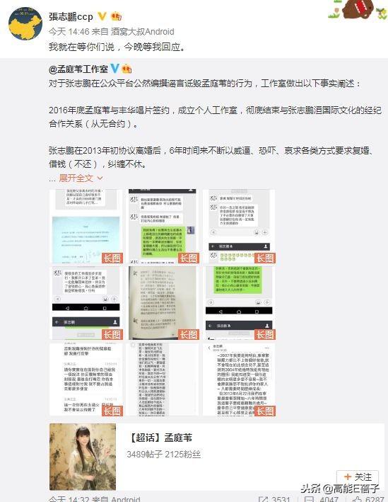 孟庭葦