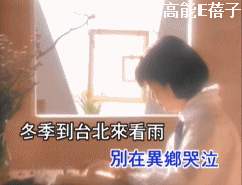 孟庭葦