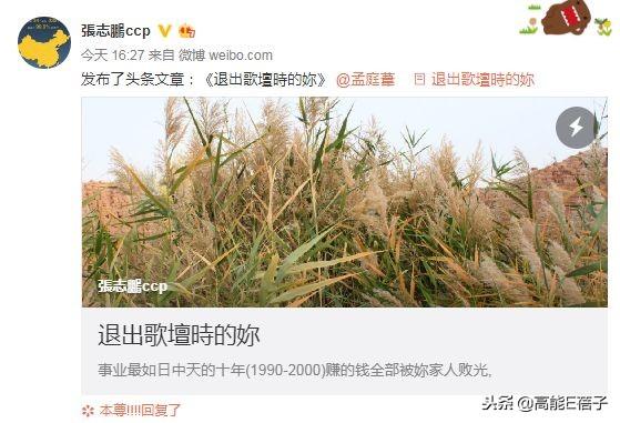 孟庭葦