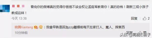 孟庭葦
