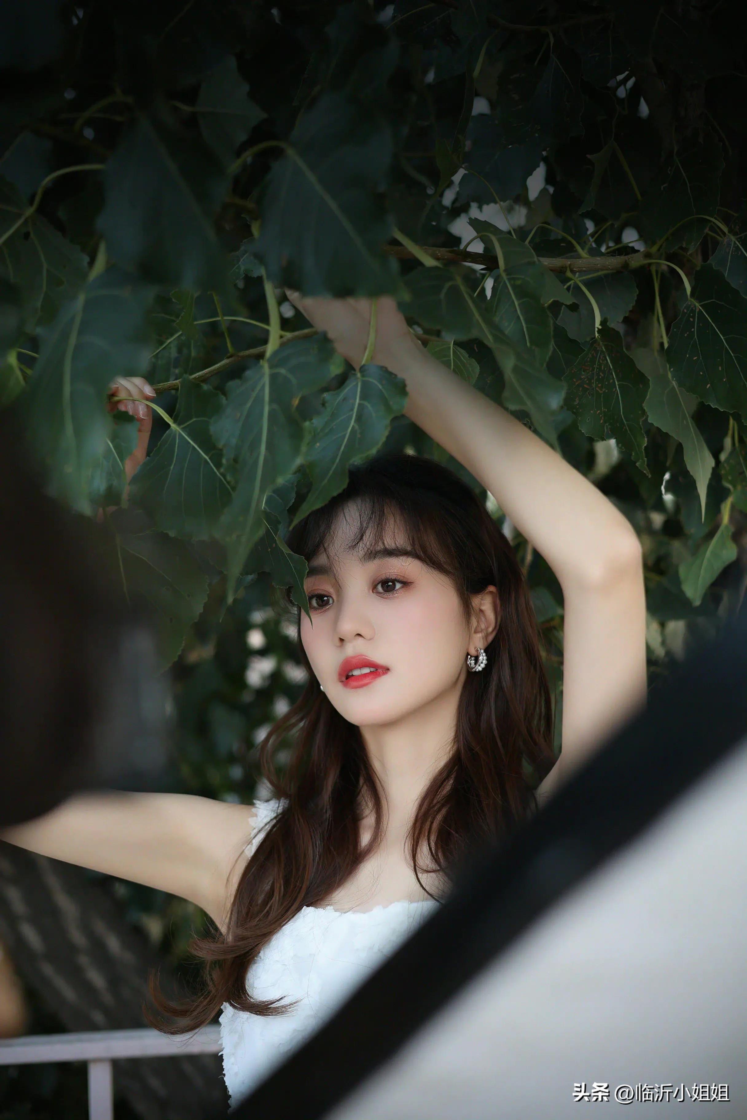 胡意旋