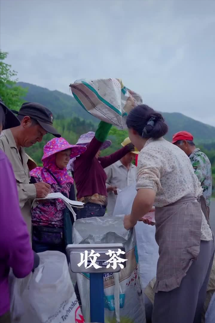 沈丹