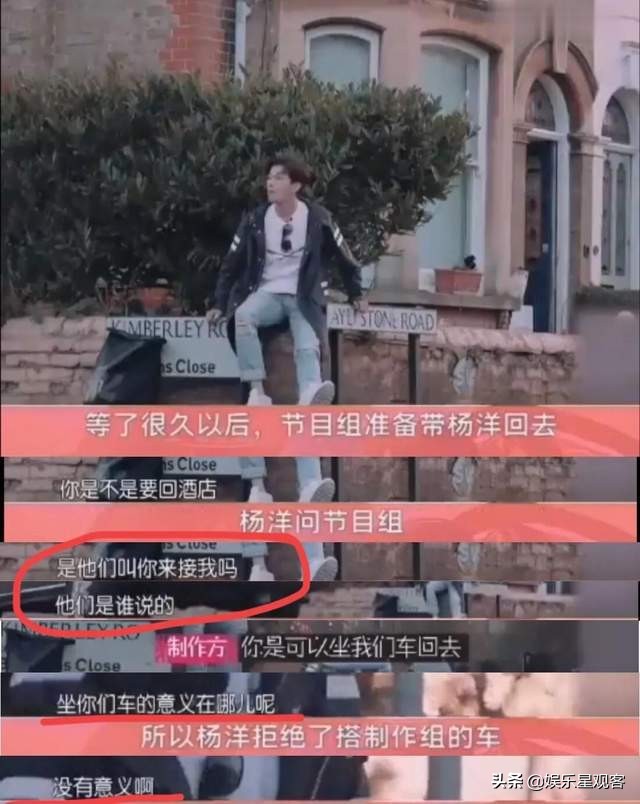 楊洋