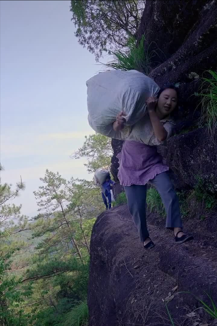 沈丹