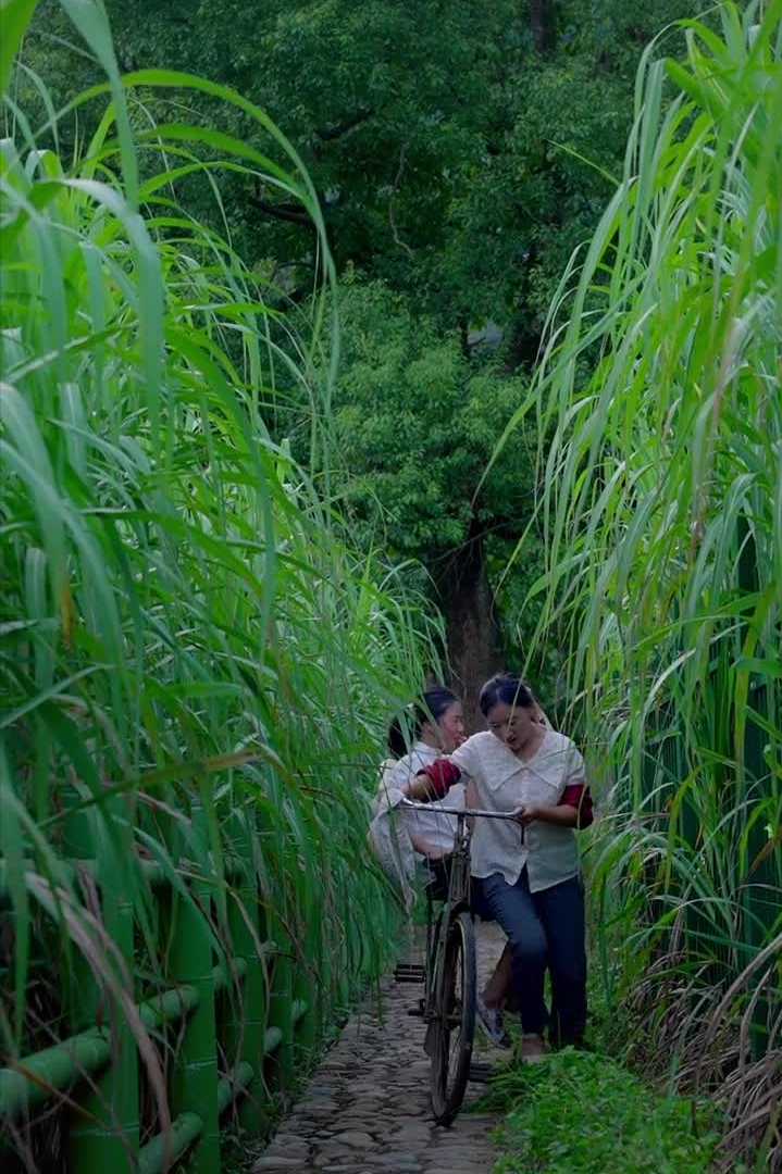 沈丹