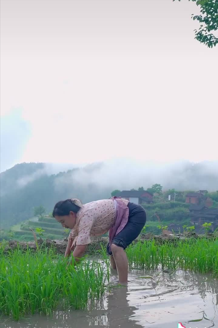 沈丹