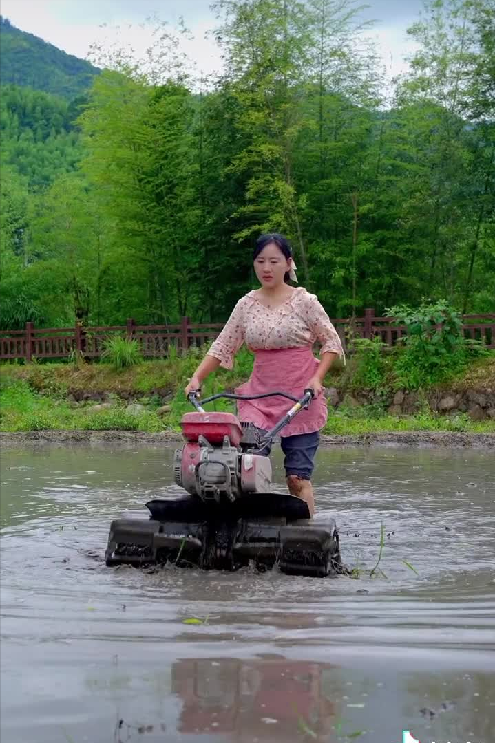沈丹