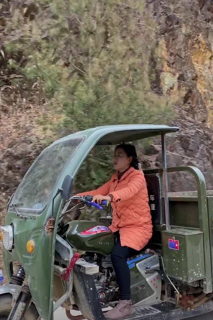 沈丹