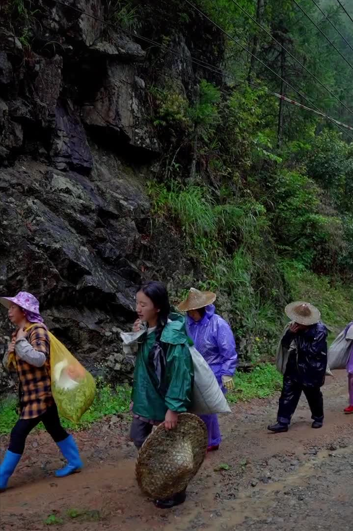 沈丹