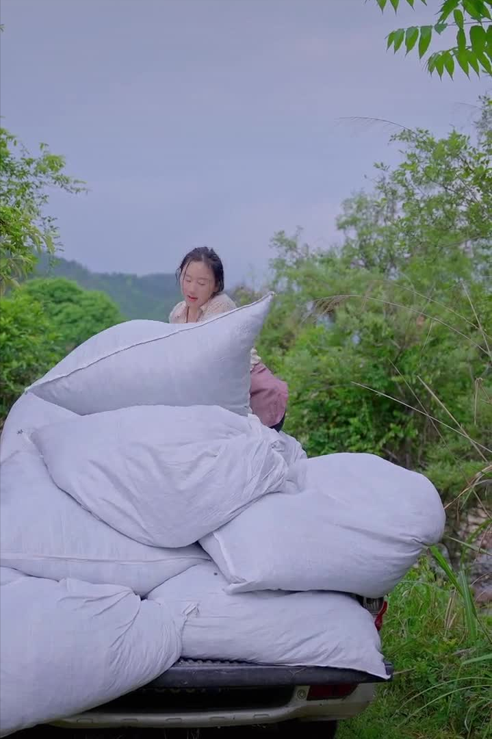 沈丹
