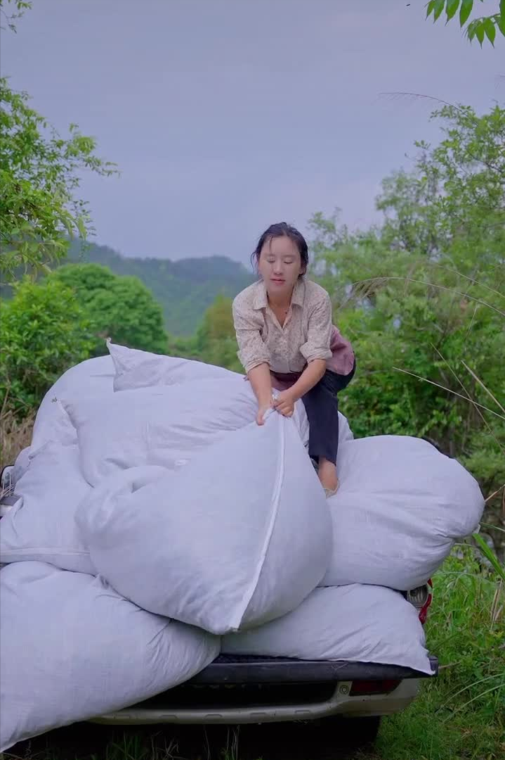 沈丹