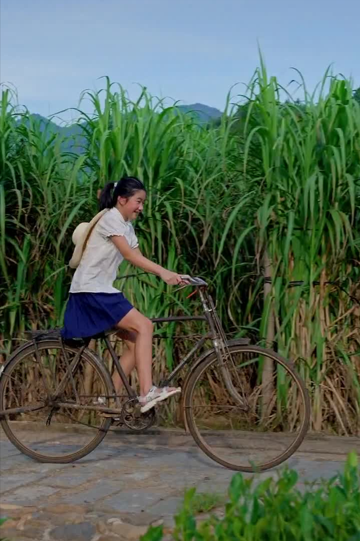 沈丹