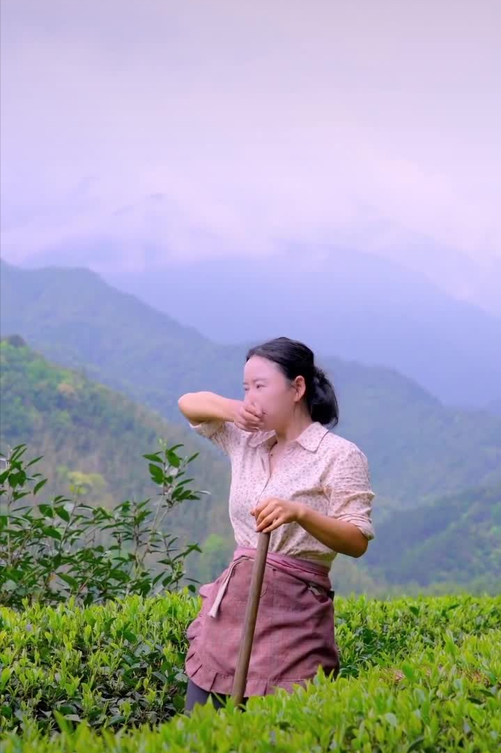 沈丹