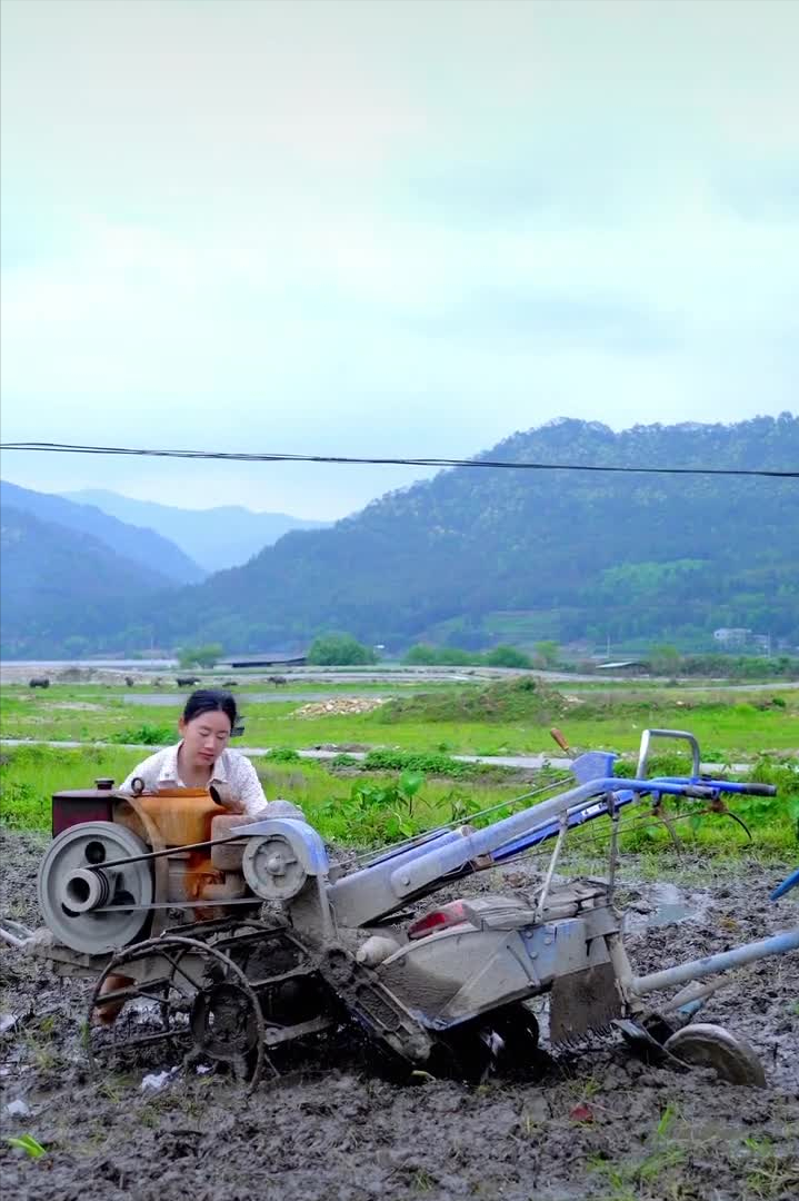 沈丹