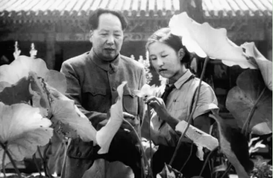 李納