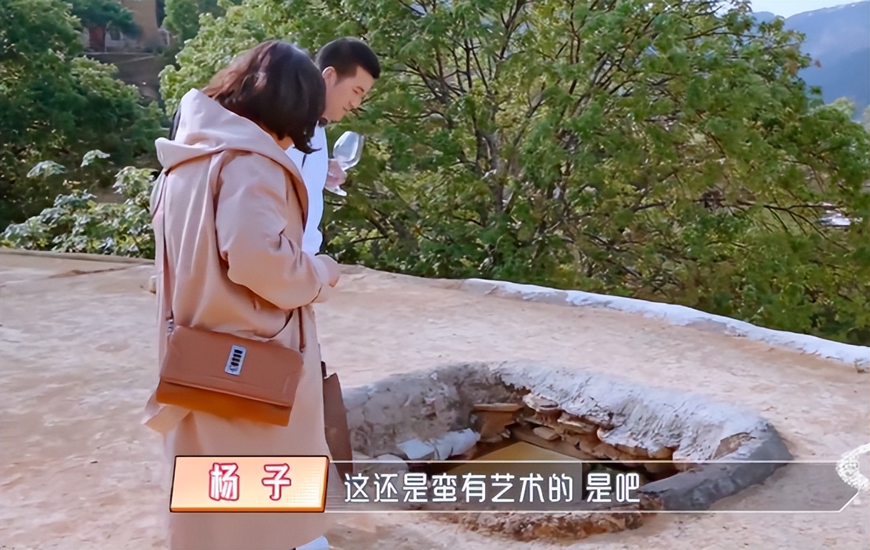 楊子