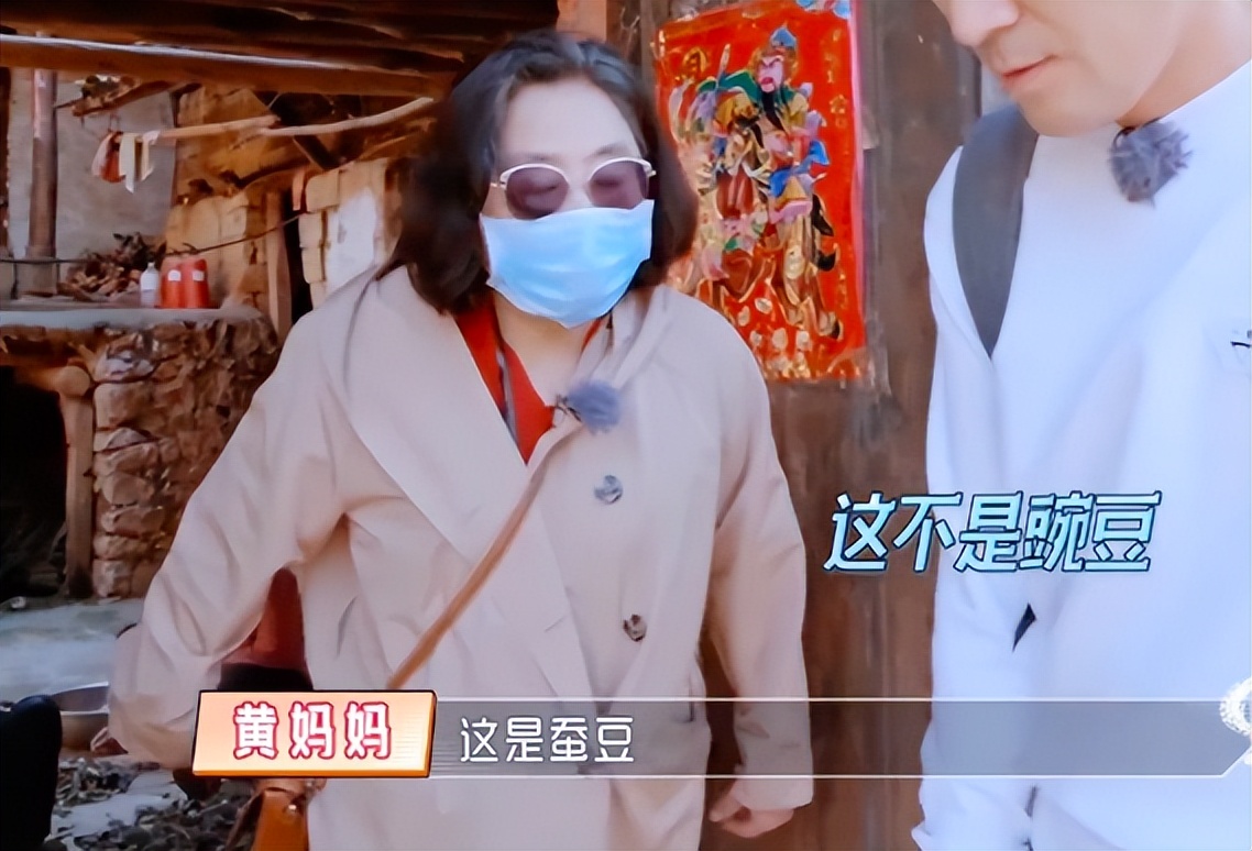 楊子