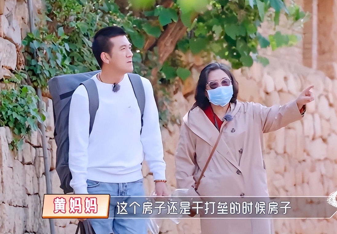 楊子