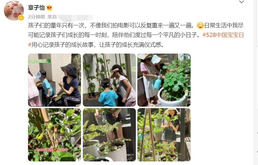 章子怡