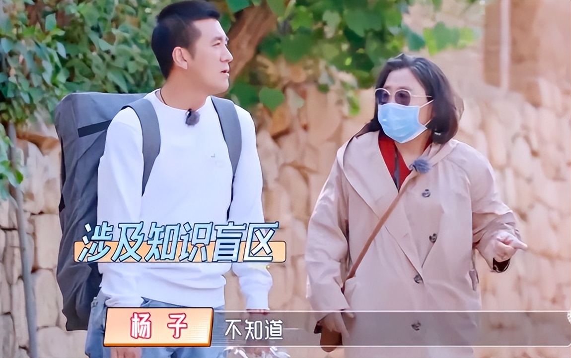 楊子