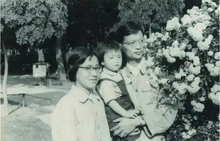 楊瀾