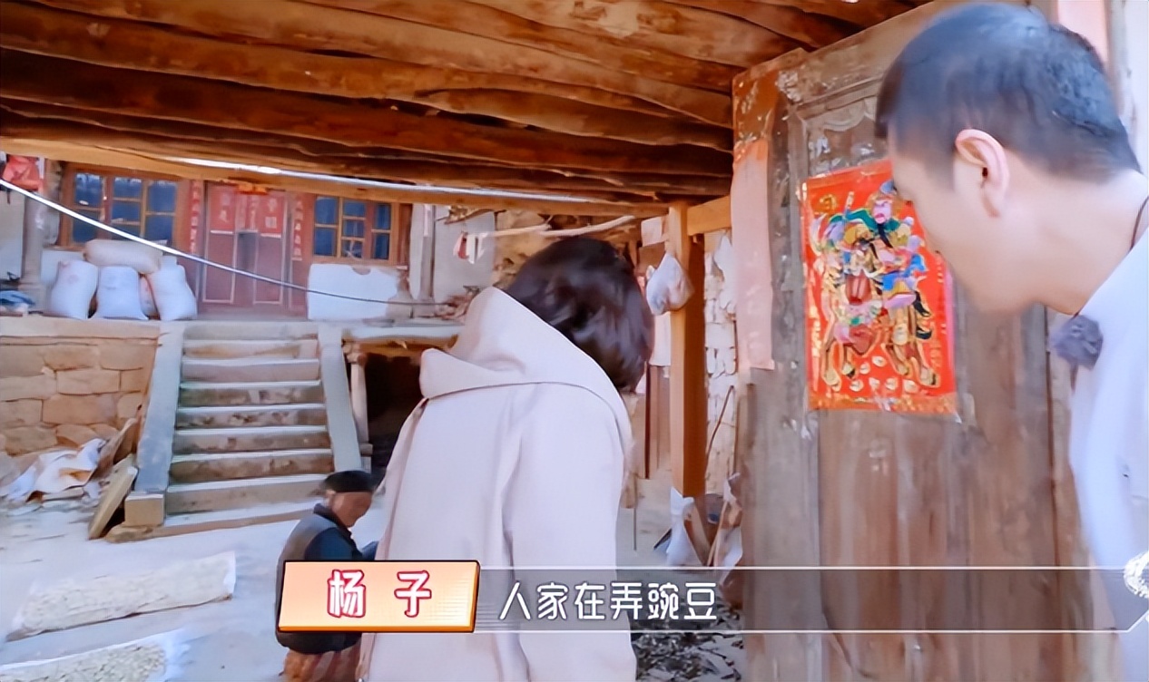 楊子
