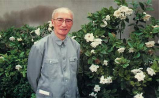 秦文君