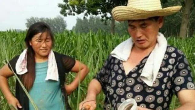 朱之文