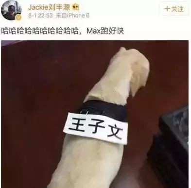 王子文
