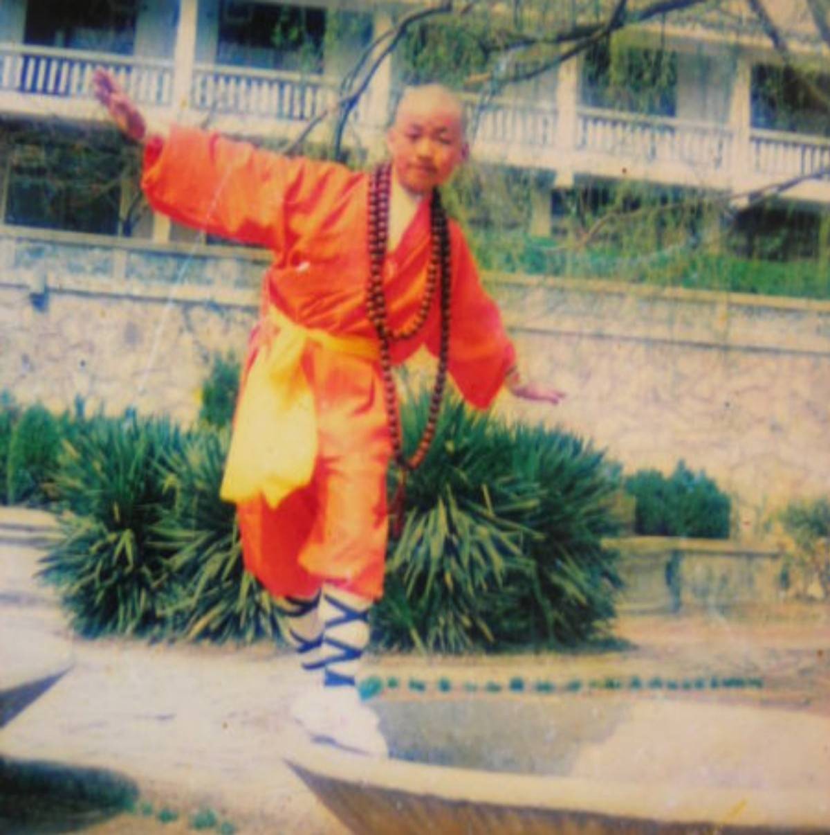 王寶強