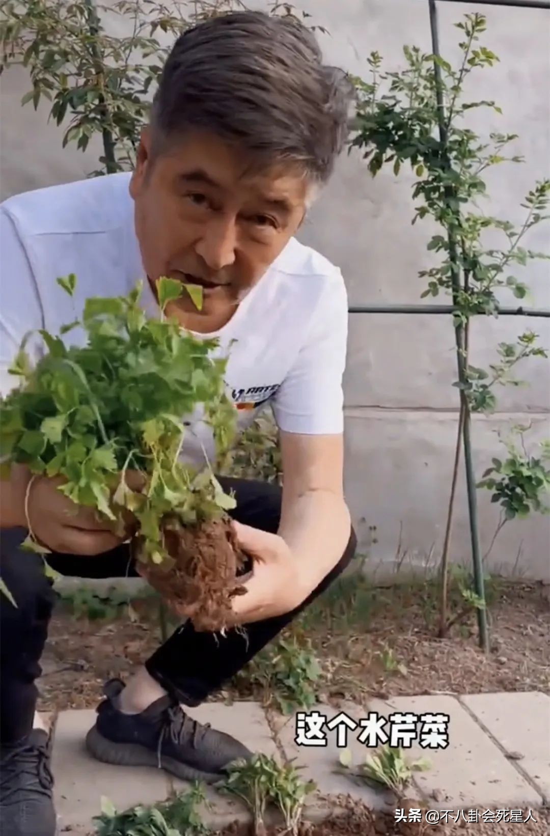 鐘鎮濤