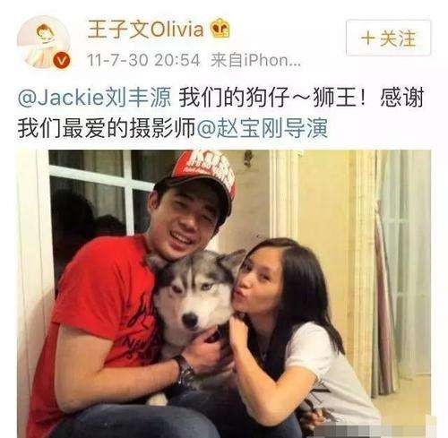王子文