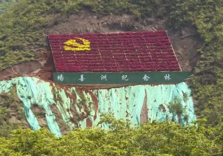 楊善洲