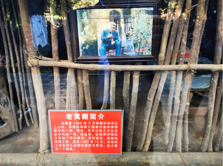 楊善洲