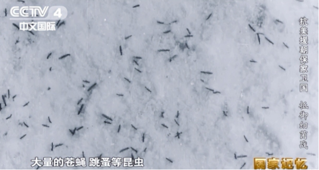 李湘