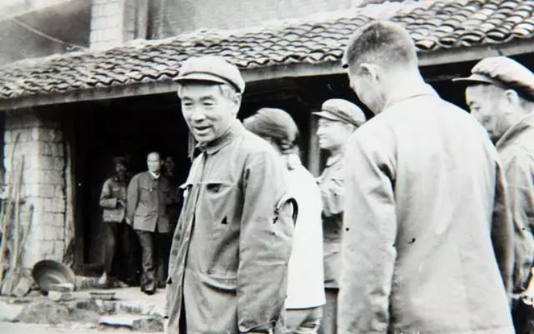 楊善洲