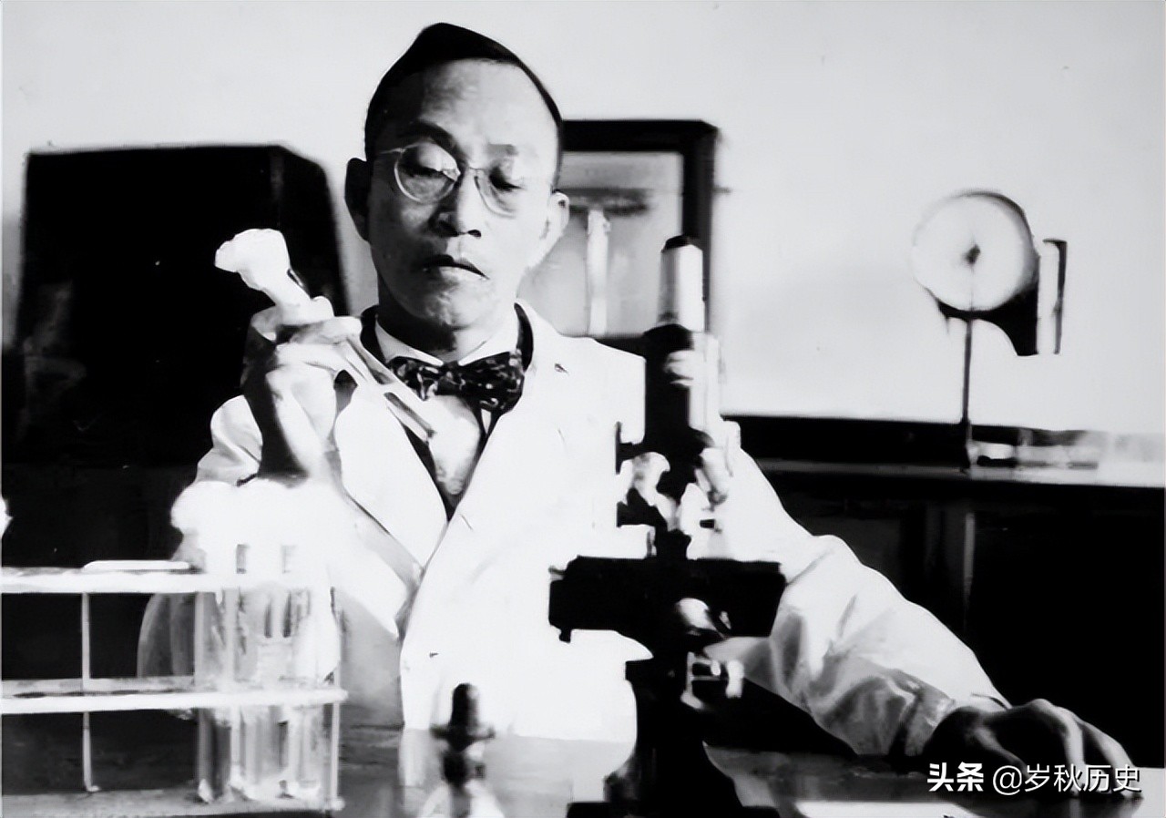 湯飛帆