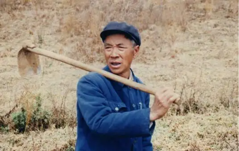 楊善洲