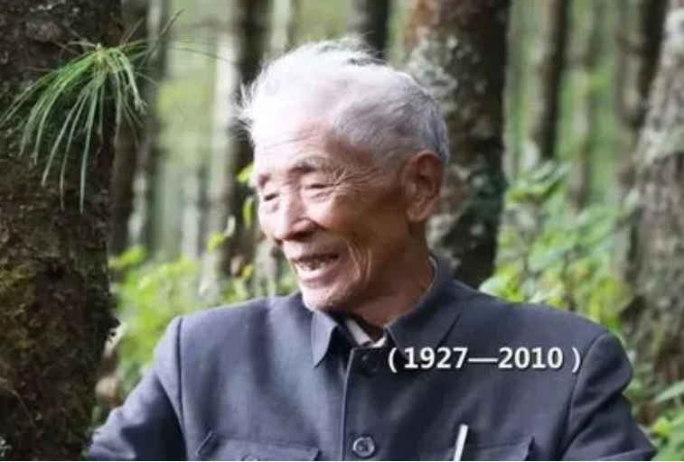 楊善洲