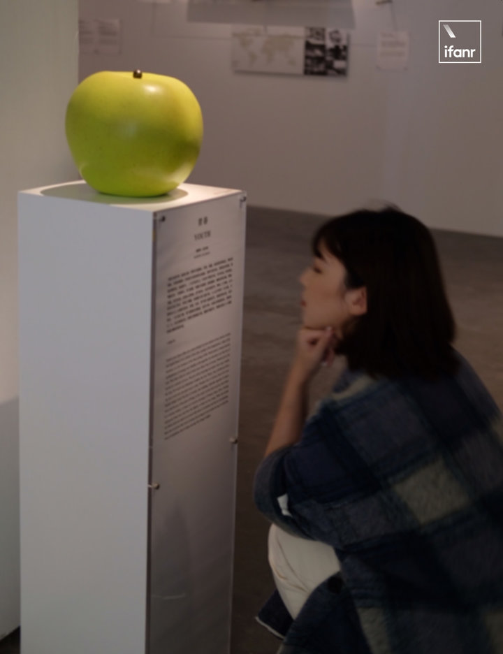 安藤忠雄